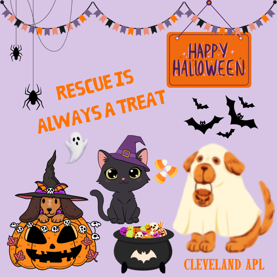 Rescue Stickers